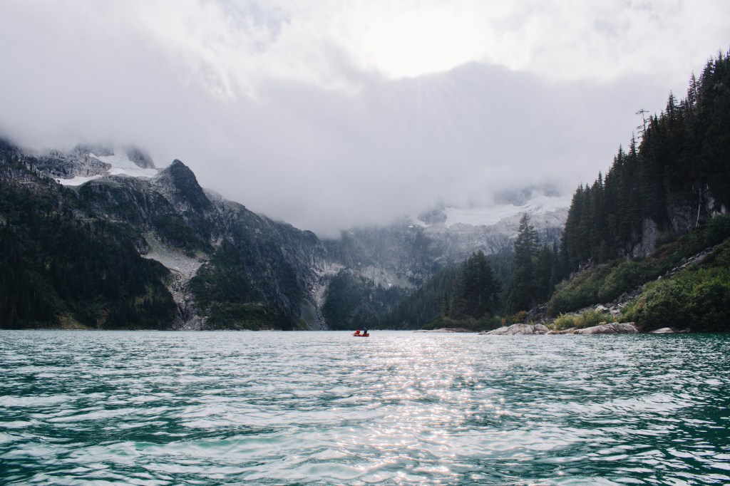 2019: A Year of Growth